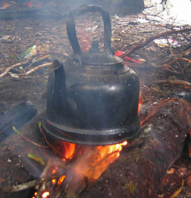 Firewood: Cooking with wood