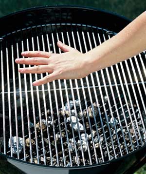 Barbecue Cooking: Hand Hot