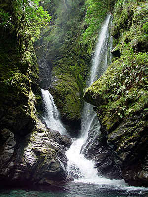 Firewood: Waterfall