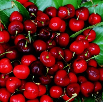 Fabulous Flavours: Cherry