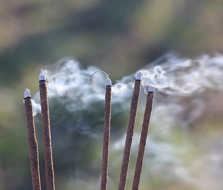 Acacia Firewood: Incense