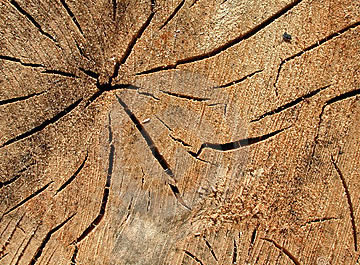 Decorative Round Logs: cracking